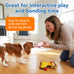 Giraffes & Cows Squeaky Dog Toys for Small and Medium Dogs Indoor Play, Durable, Interactive, Non-Shedding, Small Dog Toys