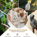natural bird toys for parrots - handmade coconut shell shredding toy for sun conures conures caiques cockatiels