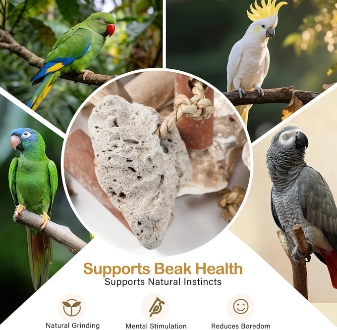 natural bird toys for parrots - handmade coconut shell shredding toy for sun conures conures caiques cockatiels