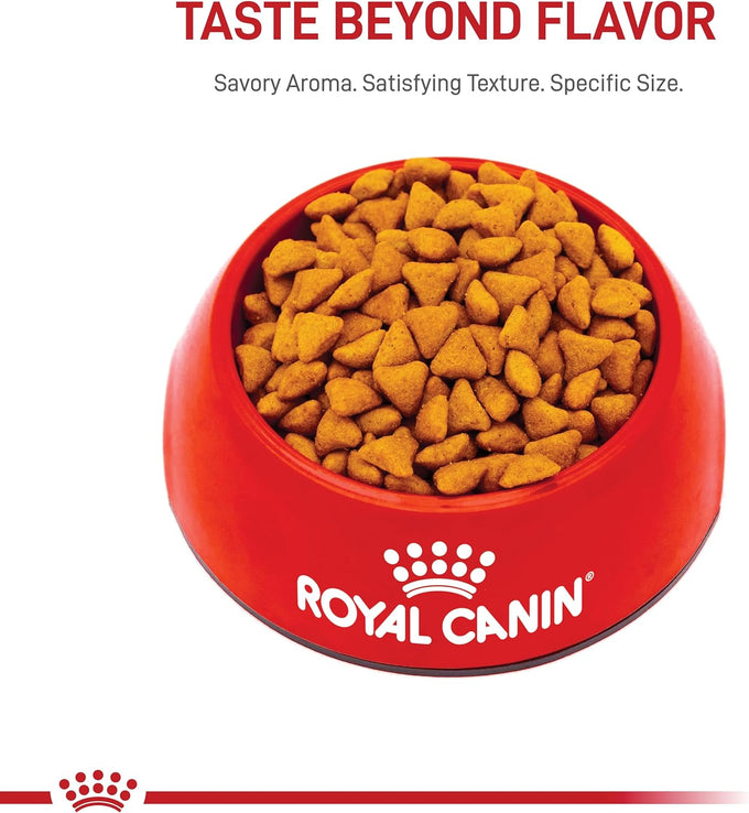 Royal Canin feline health nutrition dry cat food for indoor adult cats 7 lb bag