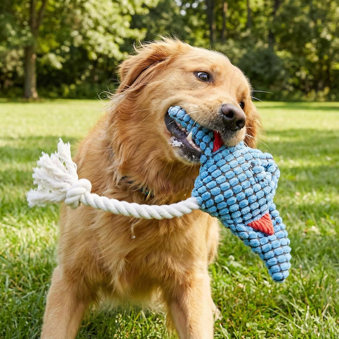Stingray rope plush dog toy, soft durable cotton, for chewers, tug of war, all dog breeds