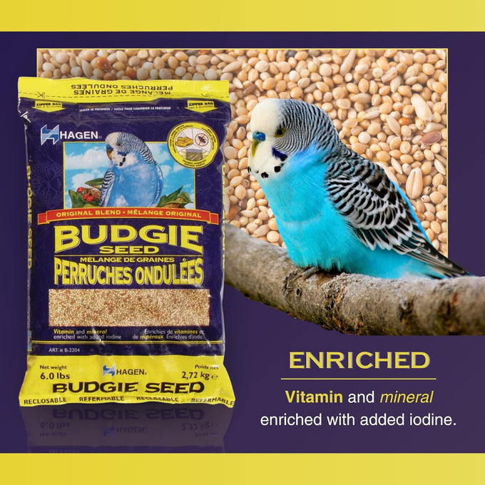 Hagen White Millet Bird Seed Premium Blend Nutritionally Balanced Vitamins Minerals Dust-Free 6 lb Bag for Budgies