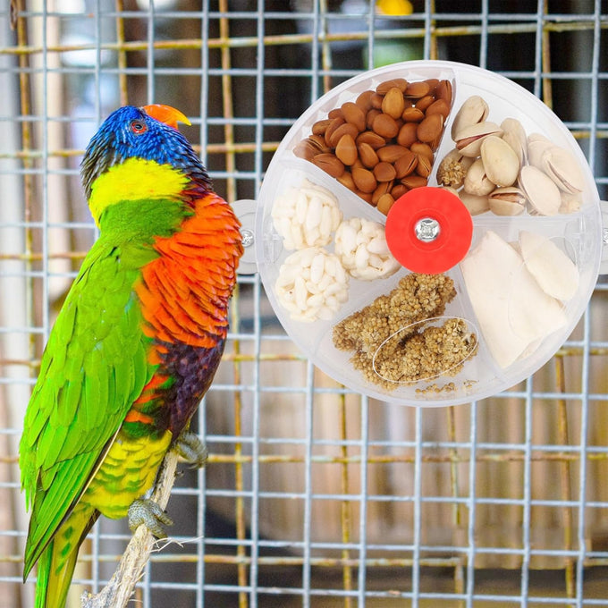 Bird Creative Foraging System Wheel Seed Food Ball Rotate Training Toy for Small Parrots