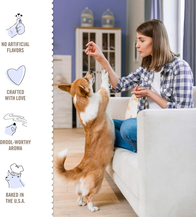 Three Dog Bakery Blueberry Pancake Bites, Treats with Real Blueberries & Vanilla, Mess-Free Snacks for Dogs & Puppies