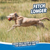 Chunky Chuckit! Ultra Tug Dog Toy, Medium, 20-60 pound dog fetch and tug toy with 2.5 inch ball