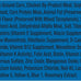 9Lives Indoor 20 lb Complete Dry Chicken & Salmon Cat Food - Lean Protein, Fiber, Vitamins, Minerals