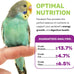 leach grain & milling co. parakeet food plus, 5lbs premium parakeet bird food with vitamins & minerals, supports energy & growth