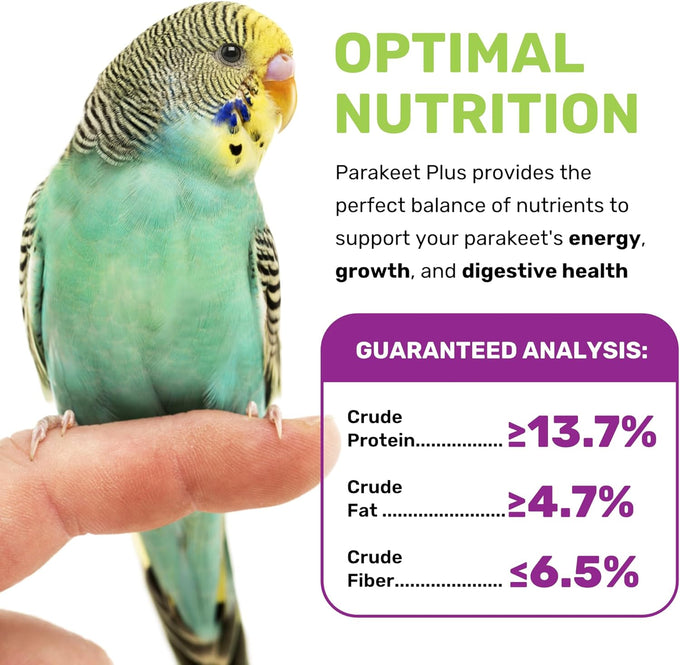 leach grain & milling co. parakeet food plus, 5lbs premium parakeet bird food with vitamins & minerals, supports energy & growth