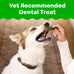 Greenies Veterinarian-Recommended Natural Dog Dental Treats, Teenie Size, Blueberry Flavor, 12 oz. Packs, 43 Count