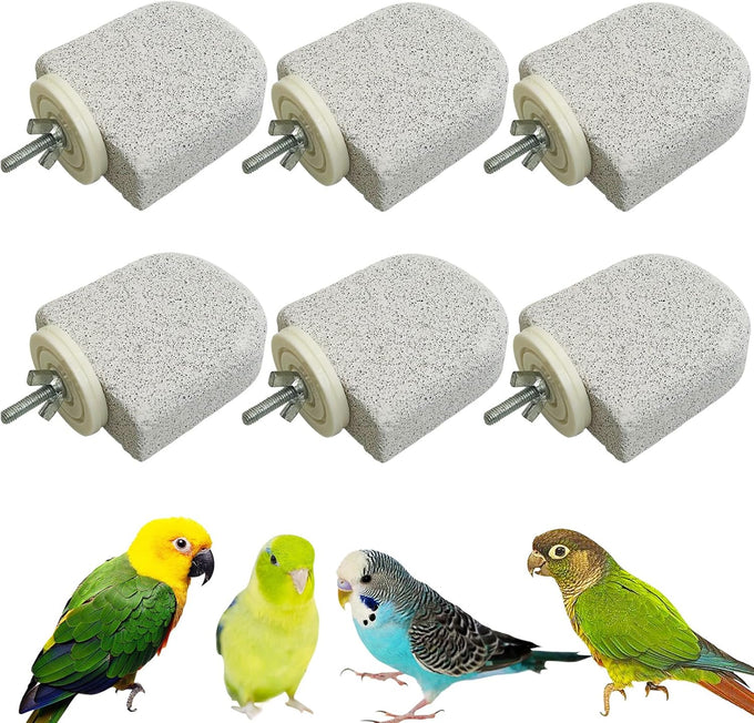 pinvnby 4-piece bird perch stands for small to medium parrots, cockatiels, lovebirds, conures, and finches