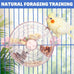 bnosdm pink creative bird feeder with seed food rotating wheel for parrot puzzle toys