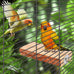 parakeet perch budgie perch wood stand fork toys multi-branch perch platform toy for small conures cockatiel parrotlet lovebird parrot finches