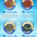 Ocean Nutrition community formula flake fish food for freshwater fish - Natural Ingredient Fish Food Flakes made in USA 2.5 oz 70g