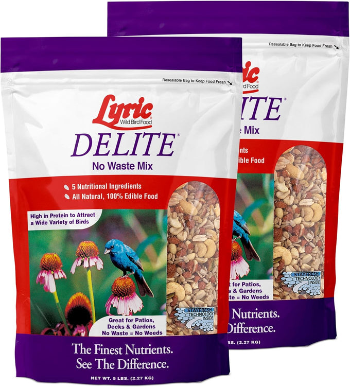lyric delite 5 lb no waste bird seed mix for outside feeders attracts buntings chickadees finches