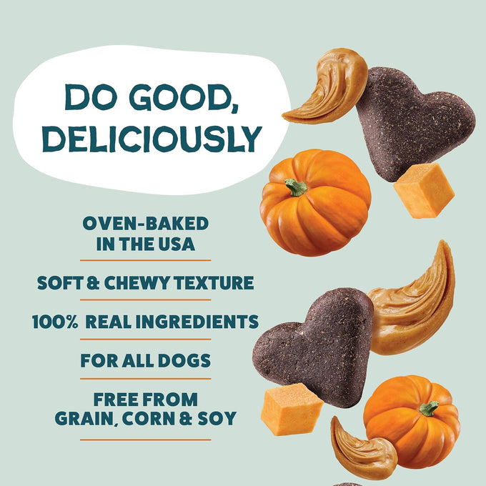 Shameless Pets Soft-Baked Pumpkin Nut Partay Dog Treats, 1 Pound, Grain-Free, USA Made, 6oz Pack