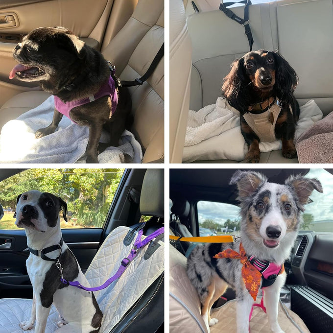 Bwogue 2-packs adjustable nylon dog cat car headrest restraint safety seat belt strap harness