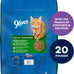 9Lives Indoor 20 lb Complete Dry Chicken & Salmon Cat Food - Lean Protein, Fiber, Vitamins, Minerals