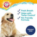Arm & Hammer Dog Dental Kit with Enzymatic Toothpaste 2.5 oz Chicken Flavor and Baking Soda
