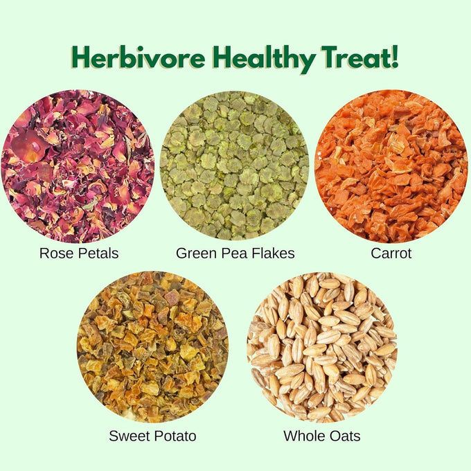 Herbivore Treat for Chinchillas, Rabbits, and Small Pets - Healthy Natural Mix - 3 oz. Sweet Potatoes, Carrots, and Oats