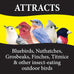 Wild Delight 4.5 lb Advanced Formula Bugs N Berries Wild Bird Food - Premium Variety Seed
