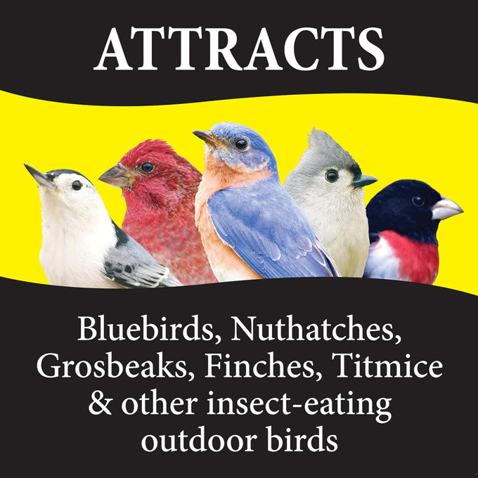 Wild Delight 4.5 lb Advanced Formula Bugs N Berries Wild Bird Food - Premium Variety Seed