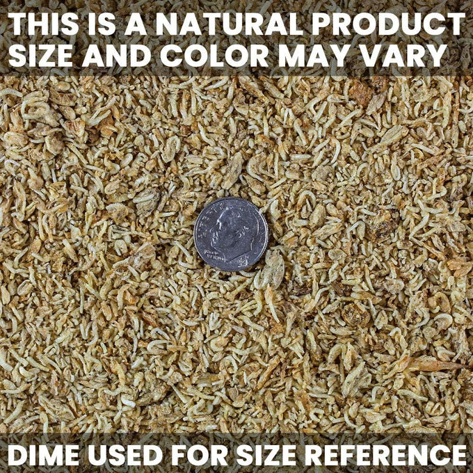 San Francisco Bay Brand Freeze-Dried Mysis Shrimp Food for Tropical and Freshwater Fish, 0.49 oz (14g)