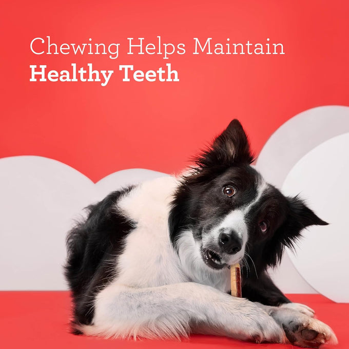 DreamBone DreamSticks with Real Bacon and Cheese Flavor Chews, 15 Rawhide-Free Dog Sticks for Healthy Teeth