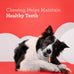 DreamBone DreamSticks with Real Bacon and Cheese Flavor Chews, 15 Rawhide-Free Dog Sticks for Healthy Teeth