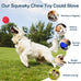 2-pack indestructible squeaky dog balls for aggressive chewers, large and medium breeds, outdoor rubber toys