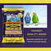 Hagen White Millet Bird Seed Premium Blend Nutritionally Balanced Vitamins Minerals Dust-Free 6 lb Bag for Budgies