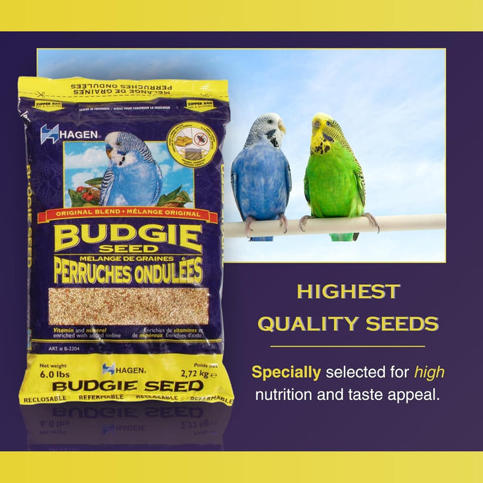 Hagen White Millet Bird Seed Premium Blend Nutritionally Balanced Vitamins Minerals Dust-Free 6 lb Bag for Budgies