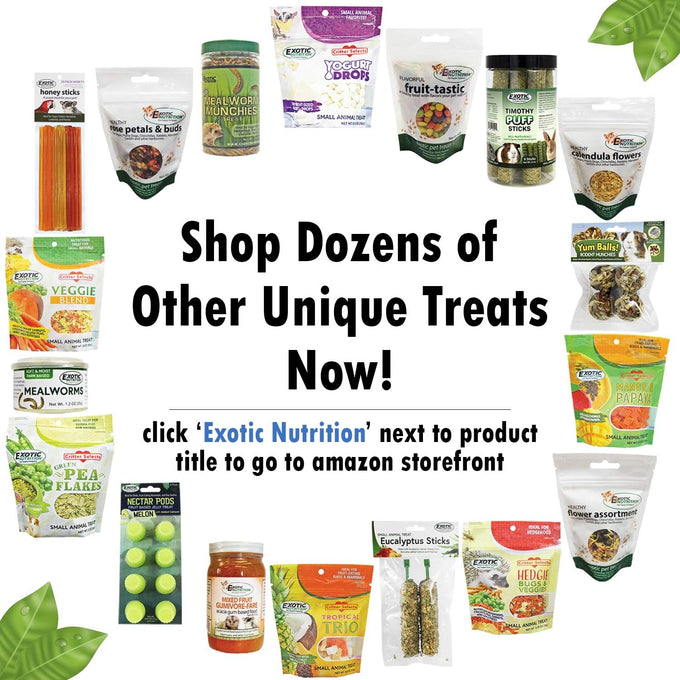 Exotic Nutrition Pasture Plus+ Dandelion Delicacy - Natural High-Fiber Dried Flower Treat for Herbivorous Small Pets
