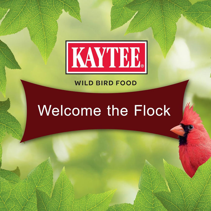 kaytee cardinal seed cake, wild bird food, 1.85 pounds, 4 count, black oil sunflower and safflower seeds