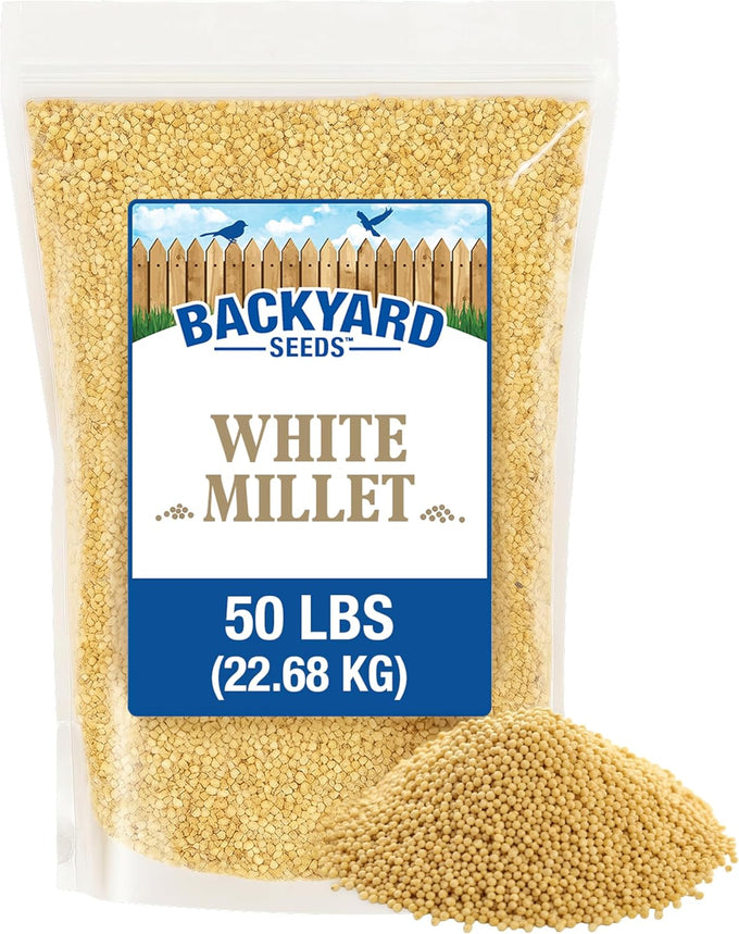 CountryMax White Millet Bird Seed - 8 lb USA Grown Premium Finch Food for Wild Birds