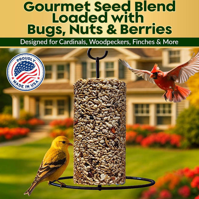 4 inch x 7.75 inch Flockin' Bugs Nuts and Berries Bird Seed Cylinders with Hole for Blue Birds and Woodpeckers