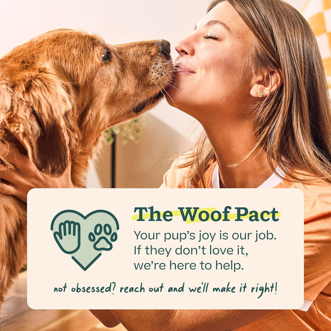 woof bully sticks made with free-range grass-fed beef 6 inch sticks 10pk
