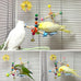 2pcs natural wood parrot toys with bells for small and medium birds, parakeet, cockatiel, conure, lovebird, budgie, quaker