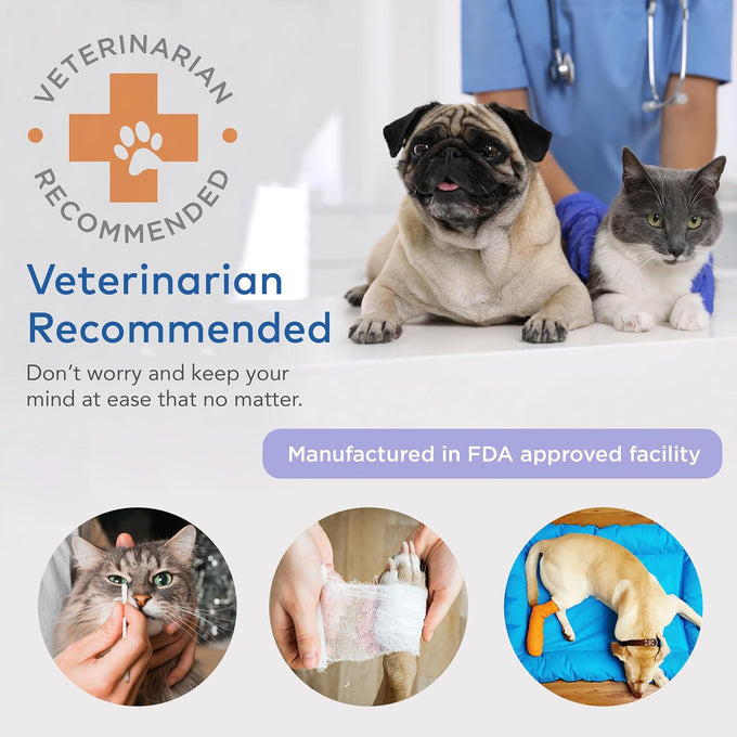 Arca Pet dog & cat first aid kit, vet-endorsed travel essentials with digital thermometer, muzzle, & mini first aid pouch