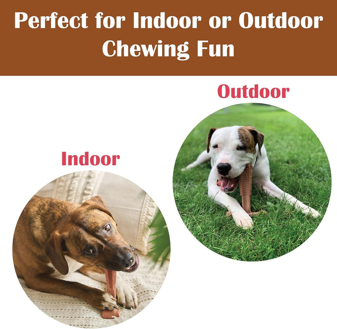 SPOT Bam-Bones Plus T Bone Bamboo Fiber Nylon Dog Chew Toy for Moderate Aggressive Chewers Durable Long Lasting Non-Splintering Beef Flavor 6 in