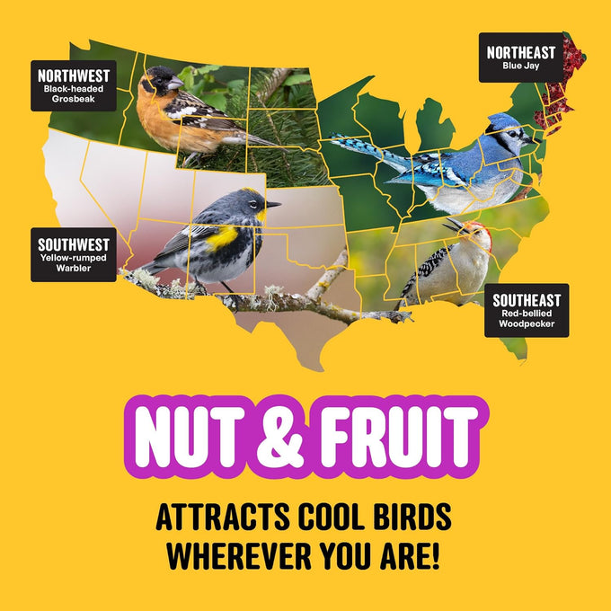 Cool Birds 10 lb. Gourmet Bird Seed with Sunflower Hearts, Peanuts & Real Fruit for Outside Feeders