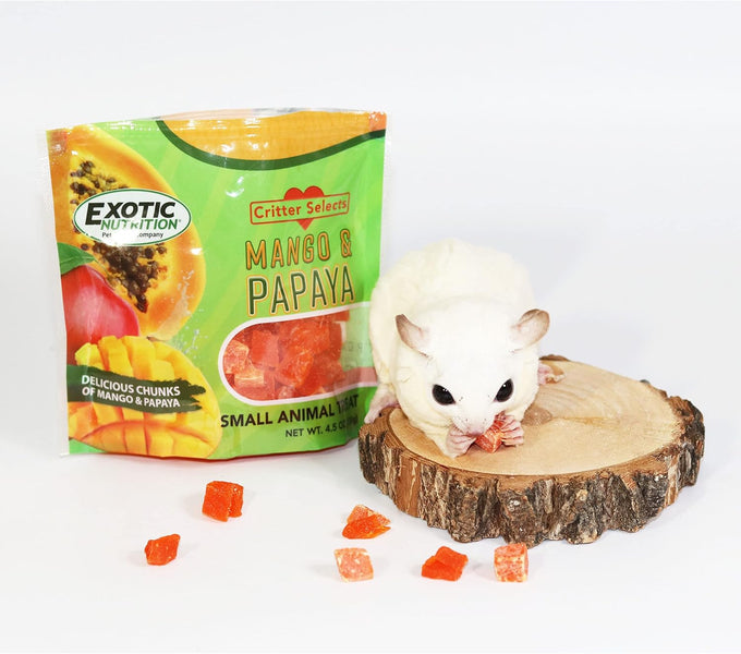 Mango and Papaya sundried treat for sugar gliders, rats, chinchillas, and other small animals (4.5 oz.)