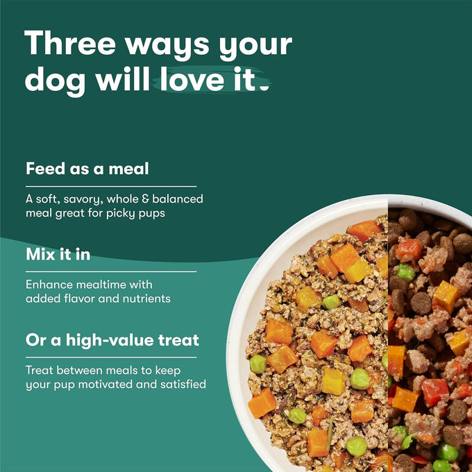 Jinx Salmon Grain Free Wet Dog Food Toppers, 9oz, 6 Pack