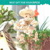 Natural bird toys for quaker parrot, lovebird, parakeet, cockatiel & conure - 100% natural, non-toxic, chew, shred & forage toys