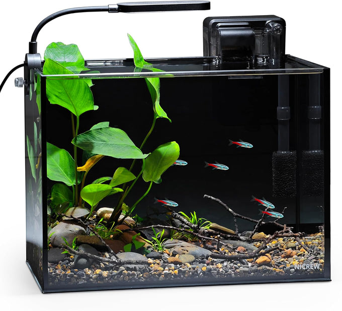 Nicrew 2.5 gallon nano aquarium kit, ultra-clear rimless desktop fish tank with light, filter, gravel, and rock, black complete version