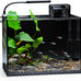 Nicrew 2.5 gallon nano aquarium kit, ultra-clear rimless desktop fish tank with light, filter, gravel, and rock, black complete version