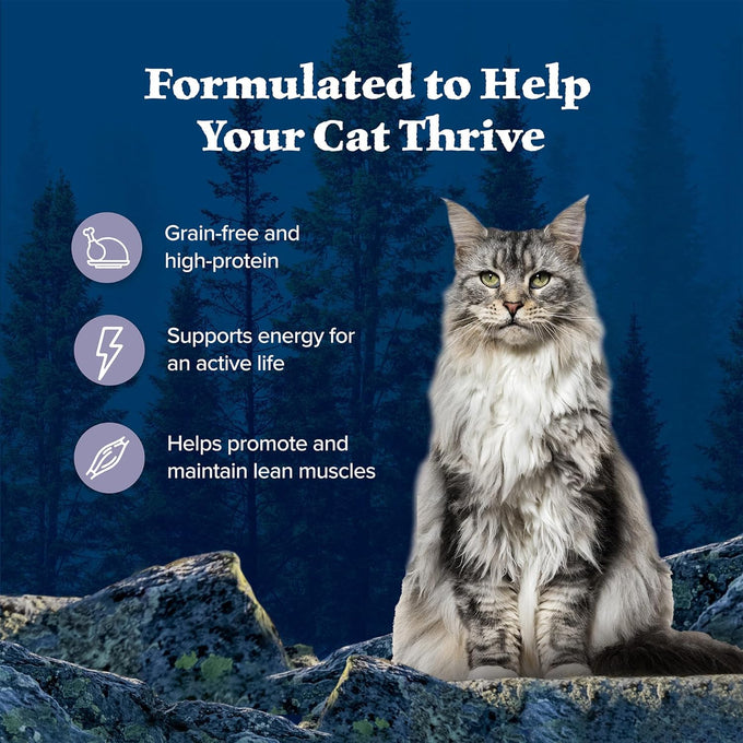 Blue Buffalo Wilderness Grain-Free Chicken Wet Cat Food Paté, High-Protein Recipe, 24x 5.5-oz Cans