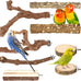 8 PCS natural apple wood bird perch set for small birds - parakeets, budgies, cockatiels - safe chew toys & climbing stand