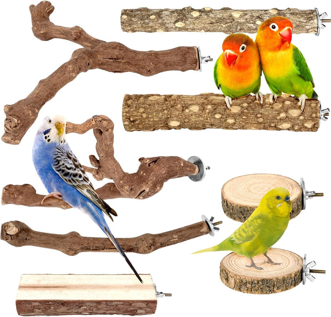 8 PCS natural apple wood bird perch set for small birds - parakeets, budgies, cockatiels - safe chew toys & climbing stand
