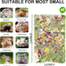 timothy hay rabbit chew toys for guinea pigs hamsters chinchillas gerbils teeth grinding 12pcs