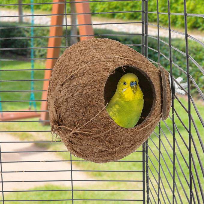 Hypeety coconut shell bird breeding nest toy with ladder and swing for parrot, parakeet, finch, hamster and lovebird